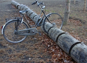 bicycle tree